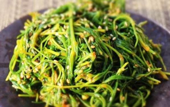 海蓬菜什么樣的人不應多食 海蓬菜的禁忌