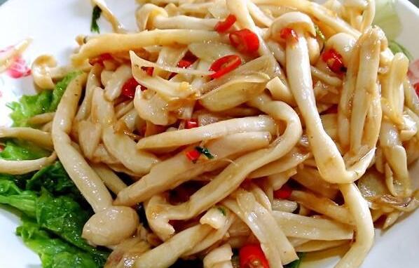 海鮮菇怎么做好吃 海鮮菇的吃法