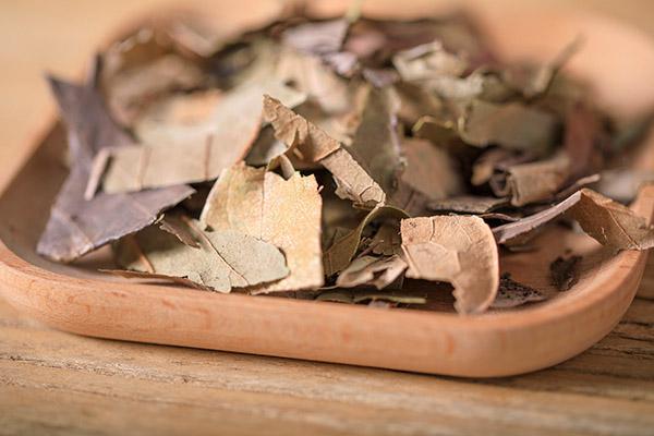 柿子葉的作用與功效