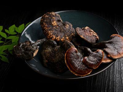 靈芝孢子粉的作用與功效及禁忌