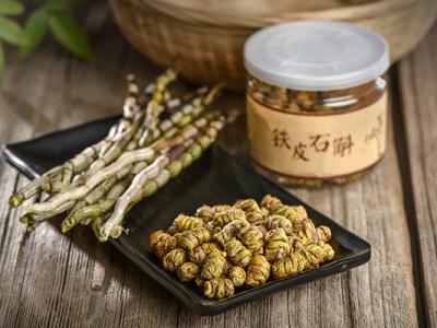 白鐵皮石斛的功效是啥