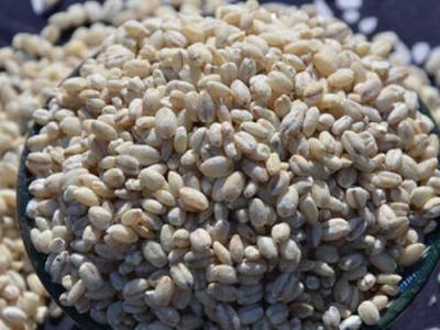 青稞粥怎樣熬 青稞粥的做法實例教程