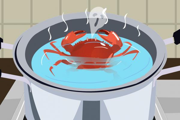 梭子蟹的做法清蒸幾分鐘 梭子蟹的營養(yǎng)價值和功效