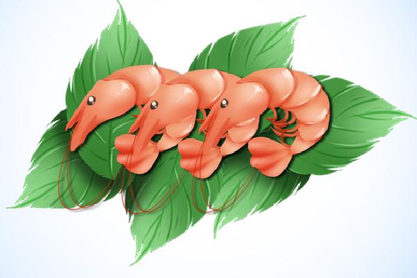 蝦可以和雞蛋一起吃嗎 雞蛋的營養價值和功效