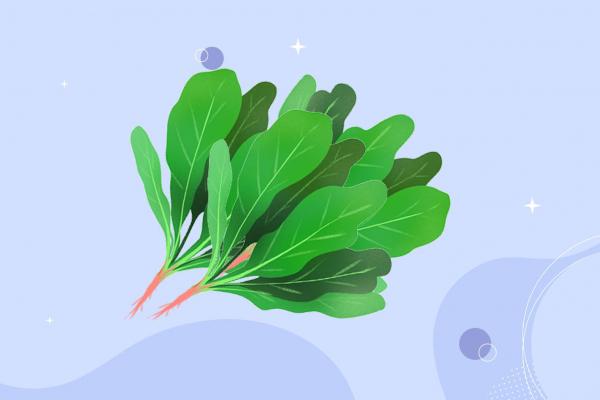 菠菜不可以和什么一起吃 菠菜的功效作用