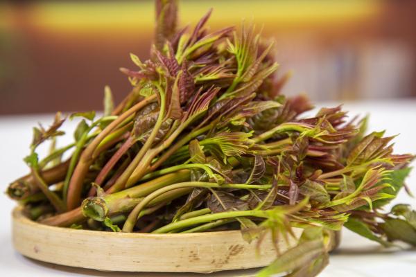 香椿不可以和什么一起吃 谷雨季節(jié)吃什么菜
