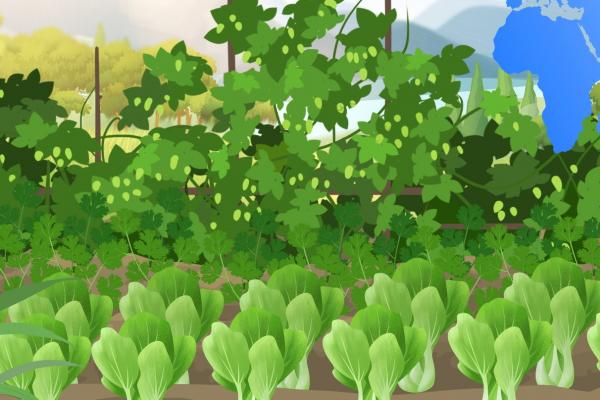 香椿可以吃到什么季節 四月份適合吃什么蔬菜