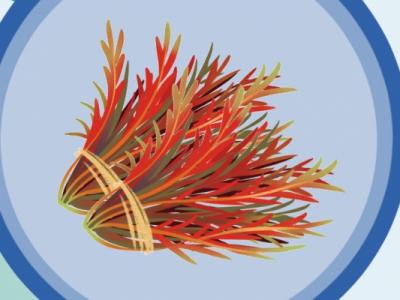 香椿炒雞蛋要不要焯水 香椿的日常吃法