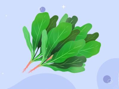 豆腐和菠菜可以一起吃嗎 吃豆腐和菠菜的好處