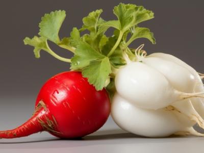 蘿卜立夏后還能吃嗎有毒嗎 蘿卜的功效作用