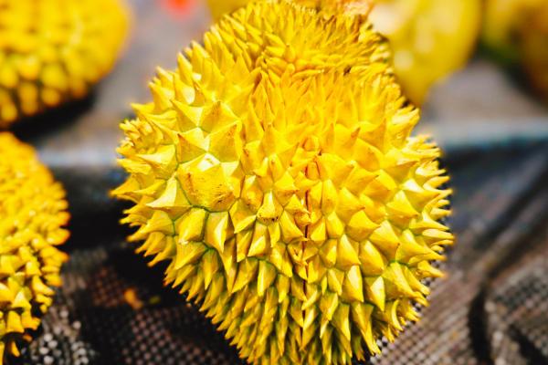 吃榴蓮的好處和壞處有哪些 吃榴蓮的注意事項