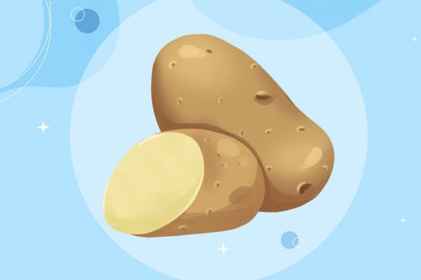 土豆三伏天怎么保存不壞 挑選新鮮的土豆小技巧