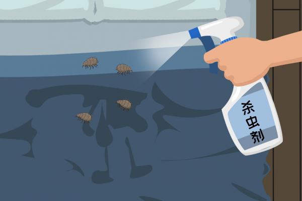 夏天床上如何除蟲效果好 夏天床上除蟲效果好的方法