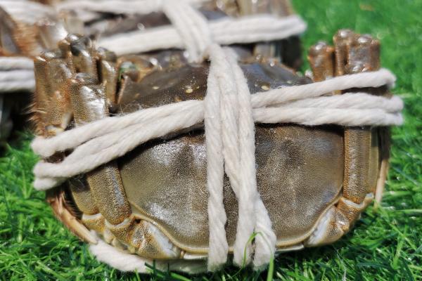 大閘蟹為什么用蒸不用水煮 蒸螃蟹相較于煮螃蟹的好處