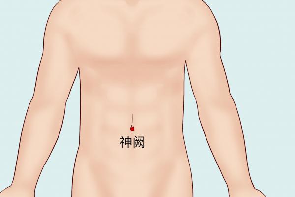 三伏天脾胃不好貼哪個穴位 三伏天貼敷的注意事項