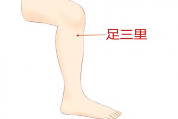 調(diào)脾胃三伏天貼什么穴位 三伏天貼敷注意事項(xiàng)