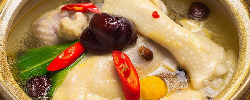 補(bǔ)脾的食物有哪些 補(bǔ)脾的食療有哪些