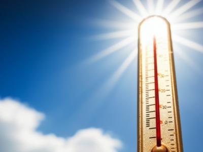 三伏天怎樣保養(yǎng)吃哪些食物 三伏天吃哪些食物比較好