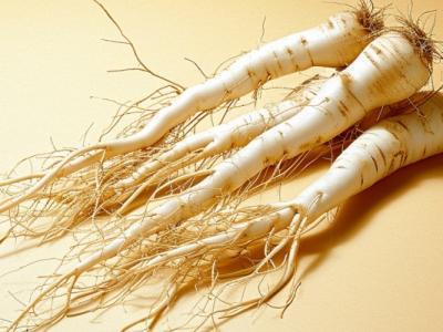 補中益氣的食物有哪些 吃什么食物補氣血