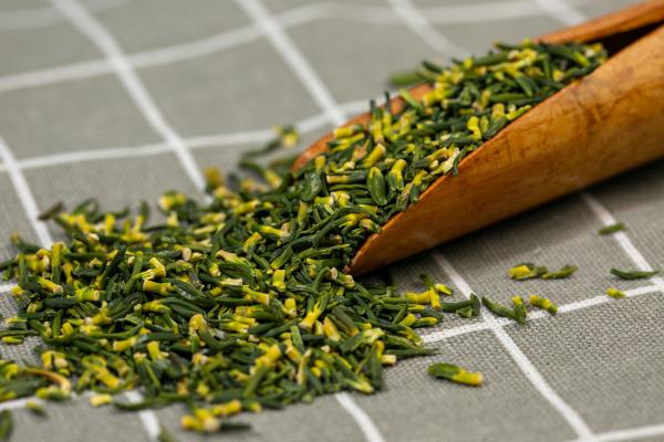 蓮子心泡水男性能喝嗎 蓮子心泡水喝能去肝火嗎