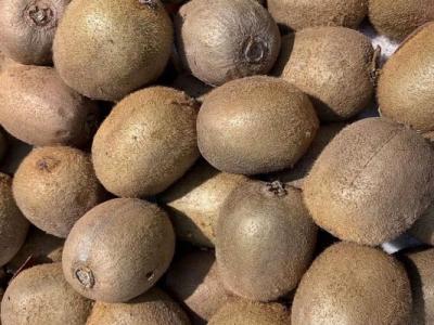 獼猴桃中間的芯能不能吃 獼猴桃中間的芯是什么