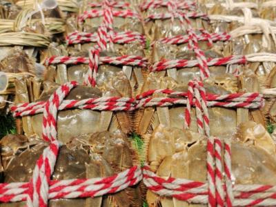 什么體質不能吃大閘蟹 大閘蟹怎么做最好吃