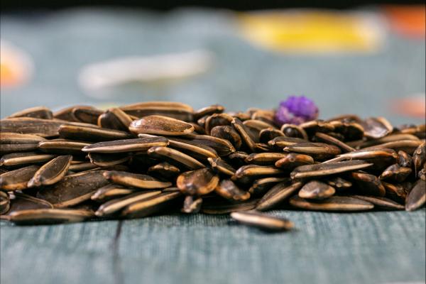 感冒可以吃瓜子嗎