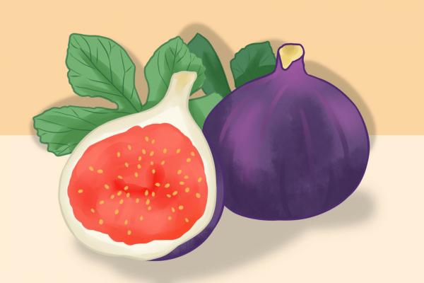 無(wú)花果干的功效與作用、禁忌和食用方法