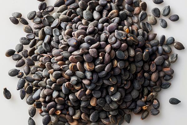 黑芝麻的功效與作用、禁忌和食用方法