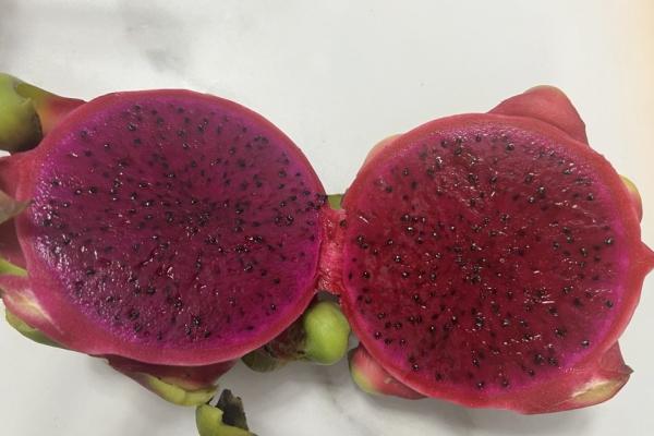 火龍果的功效與作用、禁忌和食用方法