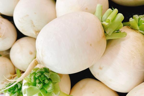 孕婦可以吃白蘿卜嗎