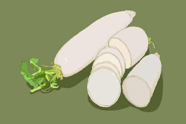 白蘿卜適合哪種咳嗽-易網(wǎng)<a href=http://www.logojc.com/ target=_blank class=infotextkey>健康養(yǎng)生</a>網(wǎng) 白蘿卜適合哪種咳嗽