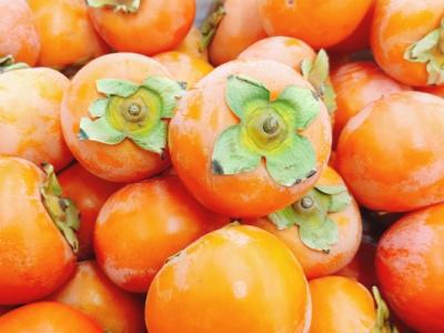 皮炎能不能吃凍柿子