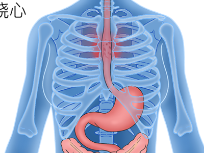 食管炎能不能吃蘭花豆