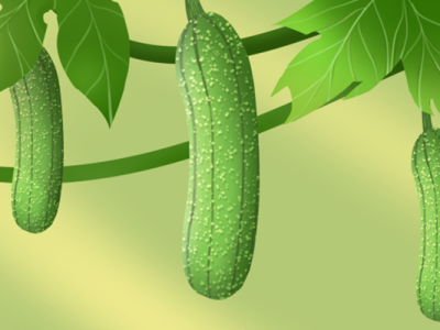 蛇瓜和絲瓜的區別