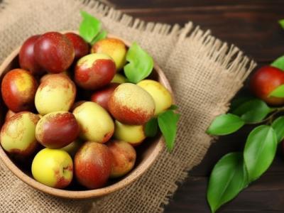 腦供血不足能不能吃灰棗