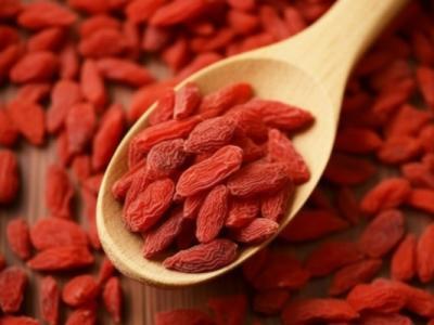 枸杞芽茶的功效與作用、禁忌和食用方法