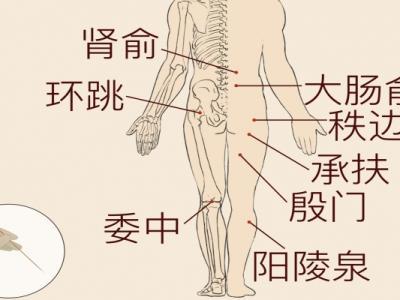 哪些中藥治療腰間盤(pán)突出
