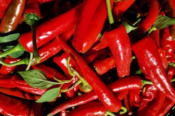 感冒了能吃辣椒嗎