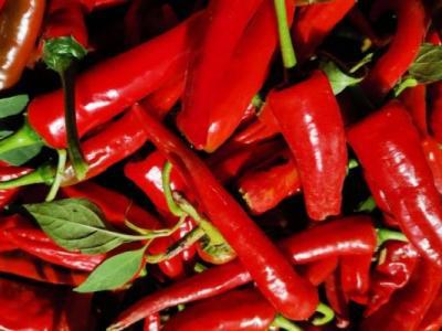 感冒了能吃辣椒嗎