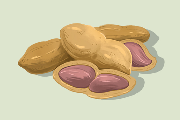 黑花生的功效與作用、禁忌和食用方法