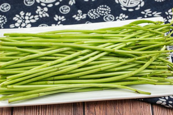 藜蒿的功效與作用、禁忌和食用方法