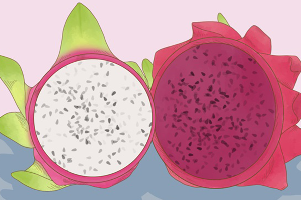 紅心火龍果的功效與作用、禁忌和食用方法