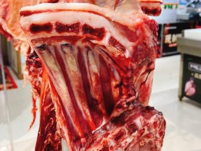 高尿酸血癥能不能吃羊肉