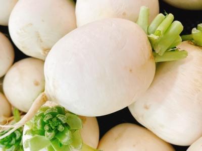 白蘿卜的功效與作用、禁忌和食用方法