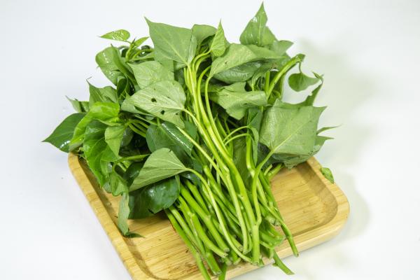 紅薯葉的功效與作用、禁忌和食用方法