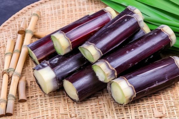 坐月子能吃甘蔗嗎