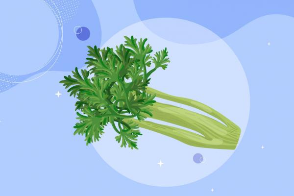 芹菜的功效與作用、禁忌和食用方法