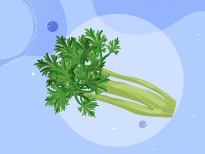 芹菜的功效與作用、禁忌和食用方法
