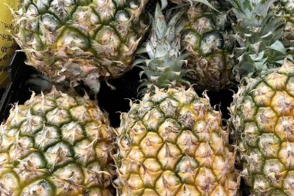 鳳梨的功效與作用、禁忌和食用方法